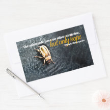 William Shakespeare, uma citação inspiradora "Espe