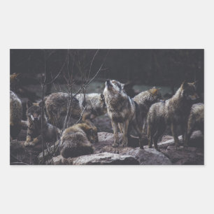 Adesivo Retangular Wolf Pack