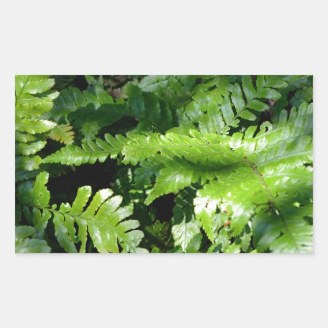 Adesivo Retangular Woodland Primavera Green Ferns (Frente)