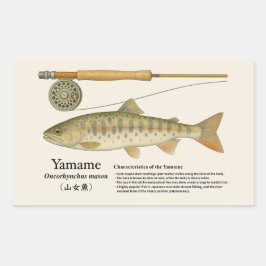 Adesivo Retangular Yamame (Oncorhynchus masou) – English Illust