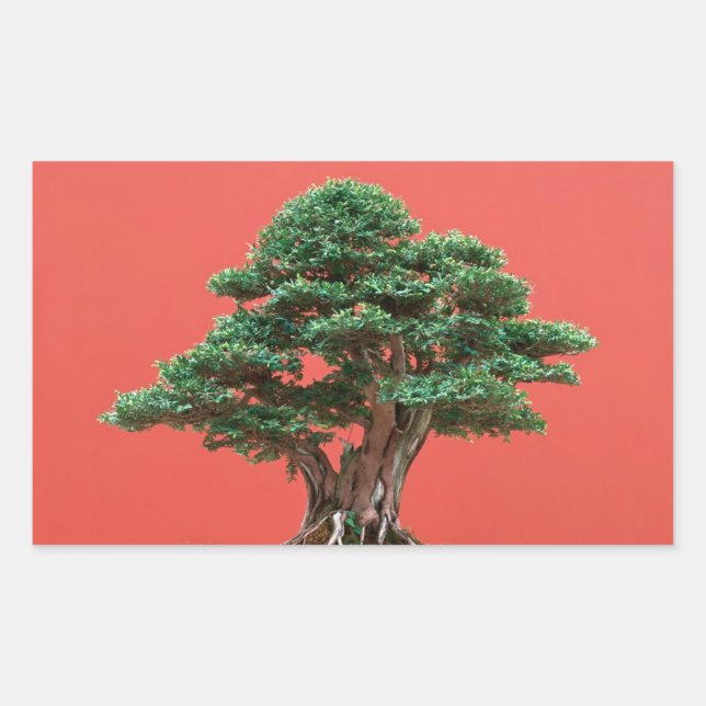 Adesivo Retangular Yew Bonsai (Frente)