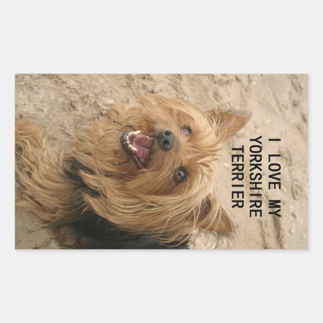 Adesivo Retangular yorkshire terrier love w pic black and tan (Frente)
