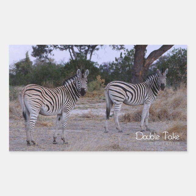 Adesivo Retangular Zebra Double Take Foto (Frente)