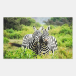 Adesivo Retangular Zebras na natureza