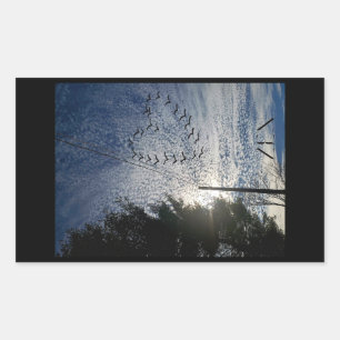 ADESIVO RETANGULAR ZEN