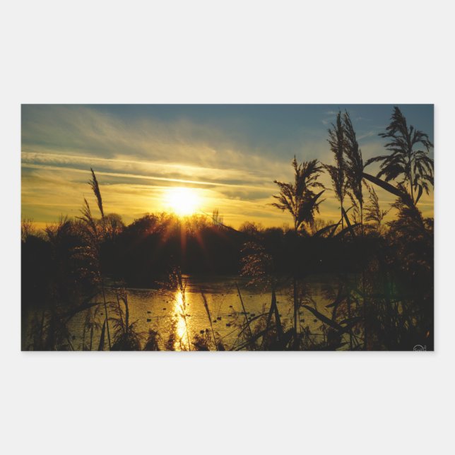 Adesivo Retangular Zonsondergang bij een meertje met rietpluimen. (Frente)