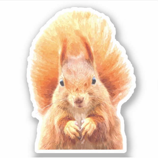 Adesivo Retrato de esquilo bonito (Frente)