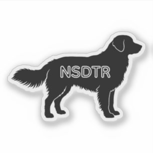 Adesivo Retriever de Recuperação de Pato da Nova Escócia