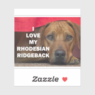 Adesivo rhodesian ridgeback love w pic