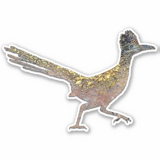 ADESIVO ROADRUNNER BASEADO EM NOVA SOL DO MÉXICO (Frente)