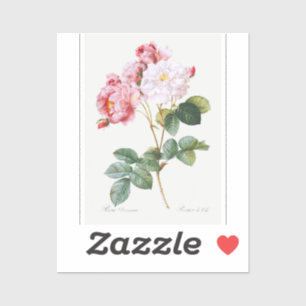 Adesivo Rosa Damascena