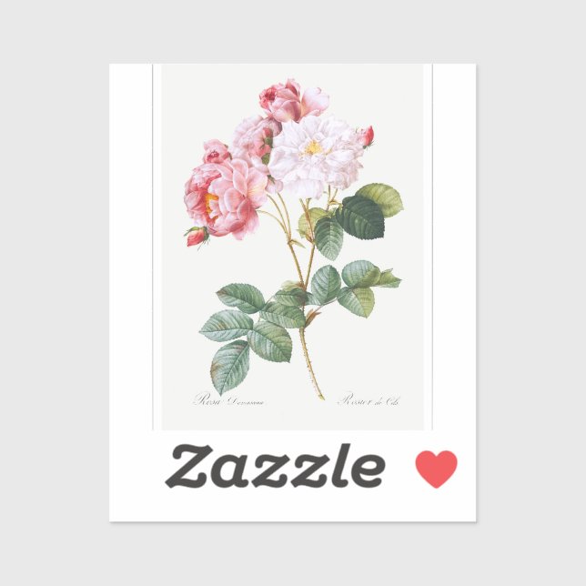 Adesivo Rosa Damascena (Folha)