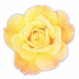 Adesivo Rosa Flor Floral Laranja Amarelo Primavera Páscoa