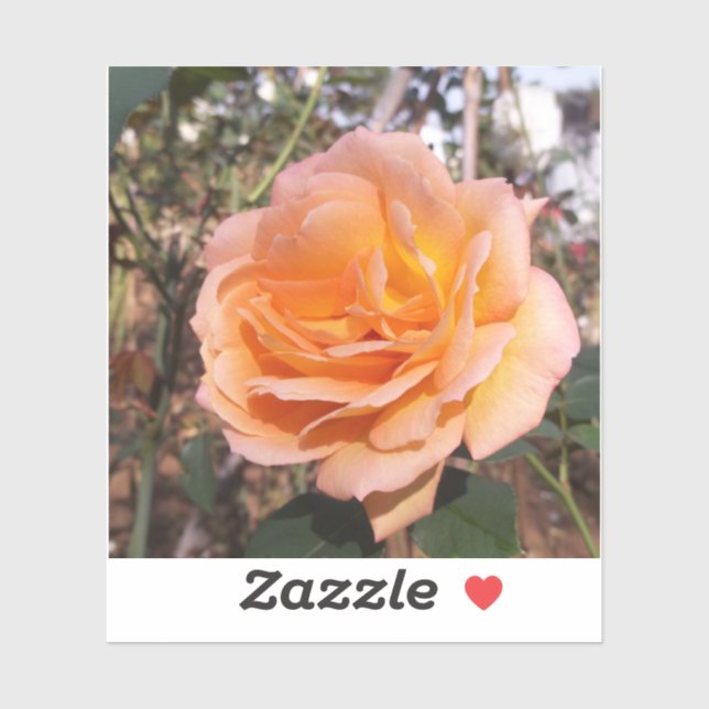 Adesivo Rosa laranja (Folha)