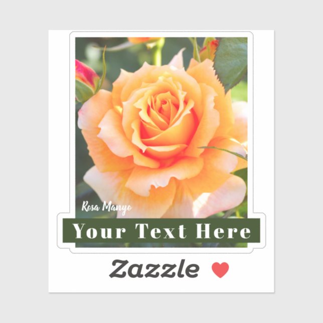 Adesivo Rosa Manyo [Cut Seal] (Folha)