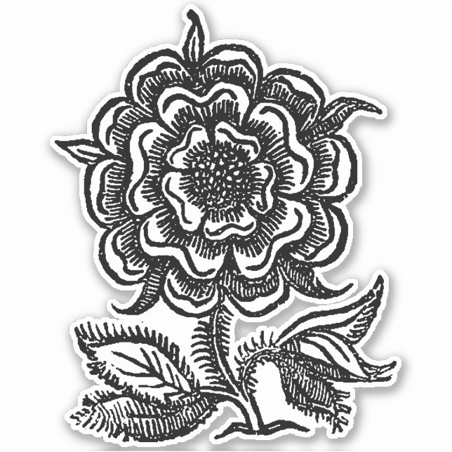 Adesivo Rosa Renascença (Frente)