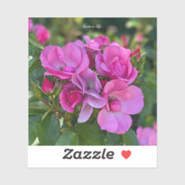 Adesivo Rosa Rosa Rosa lavanda