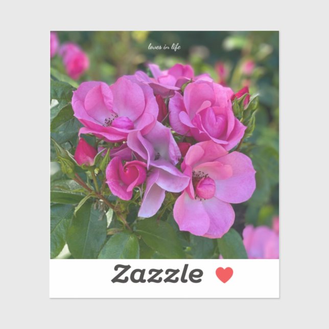 Adesivo Rosa Rosa Rosa lavanda (Folha)