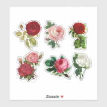 Rosas