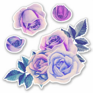 Adesivo rosas roxos de aquarela. Flores Lilac.Lavanda