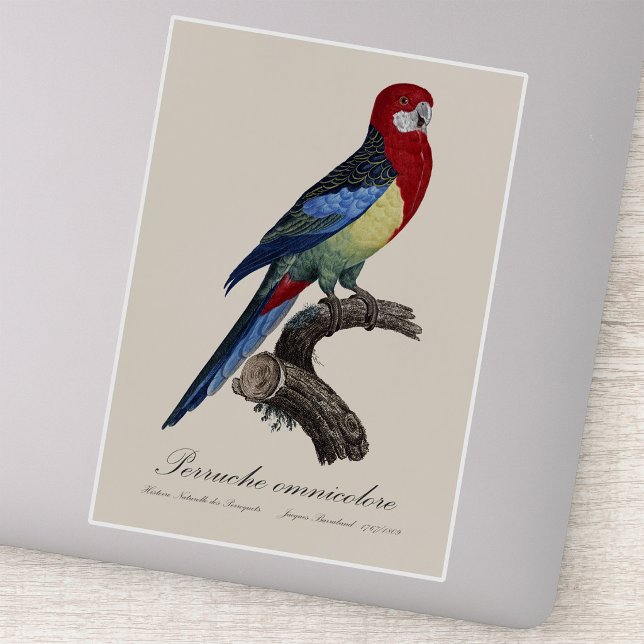 Adesivo Rosela-oriental ou periquito Platycercus eximius (Eastern rosella or Platycercus eximius parakeet. Sticker)