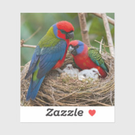 Adesivo Rosella Birds