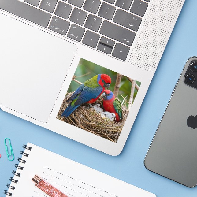 Adesivo Rosella Birds (Notebook com iPhone)