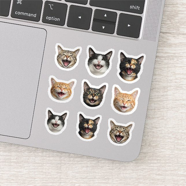 Adesivo Rosto de Gato Personalizado Engraçado - 9 Fotos Pe (Detalhe)