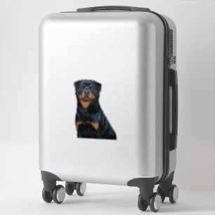 Adesivo Rottweiler 