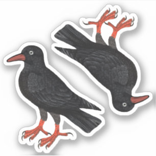 Adesivo Rua. Dia de Piran / Rua. Thomas Becket Choughs (fL
