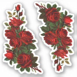 Adesivo Ruas. Rosas do Dia de George (fR)