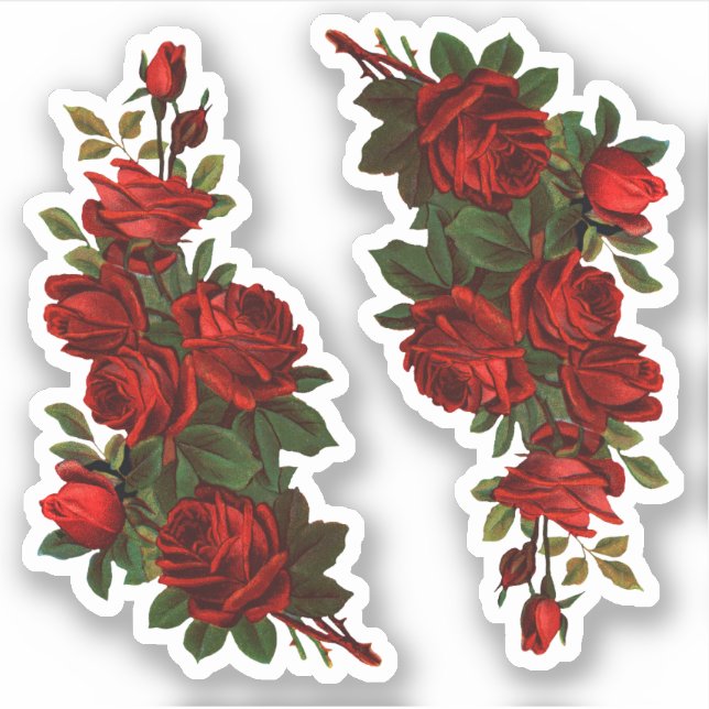 Adesivo Ruas. Rosas do Dia de George (fR) (Frente)