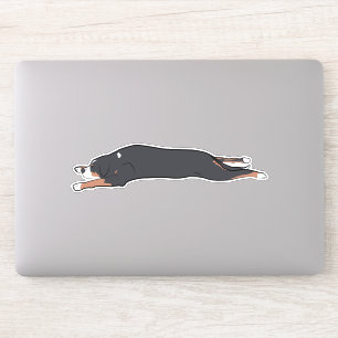 Adesivo Rug Swissy Sticker