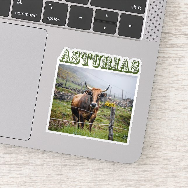 Adesivo Rustic mountain cow, Asturias, Spain travel (Detalhe)