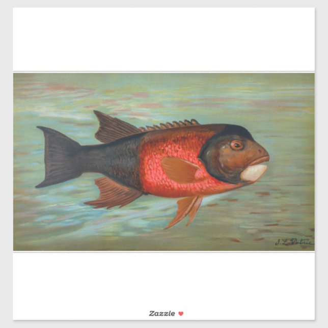 Adesivo Sacramento Pike por John L Petrie (Folha)