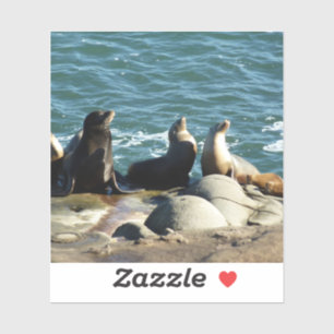 Adesivo San Diego Sea Lions