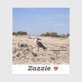 Adesivo San Diego Seagull