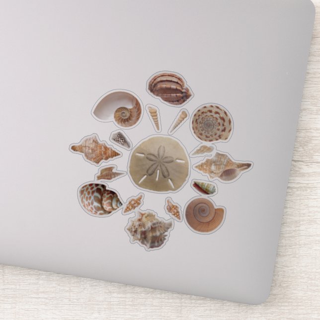 Adesivo Seashells Collection Mandala (Detalhe)