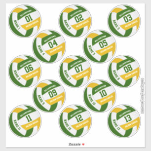 Adesivo seleção de jogadores de vôlei verde