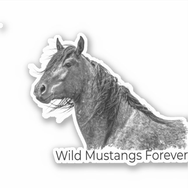 Adesivo Selvagem de Mustangs para sempre (Frente)