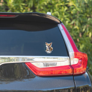 Adesivo  Seu Veículo Cachorro Chihuahua a Bordo Nome Perso