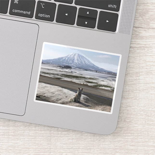 Adesivo Shiba Inu (Detalhe)