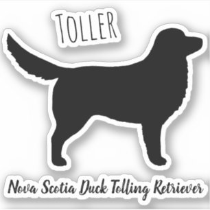 Adesivo Silhouette do Retriever de Tolling Duck da Nova Es
