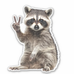 Adesivo Símbolo de Paz Raccoon