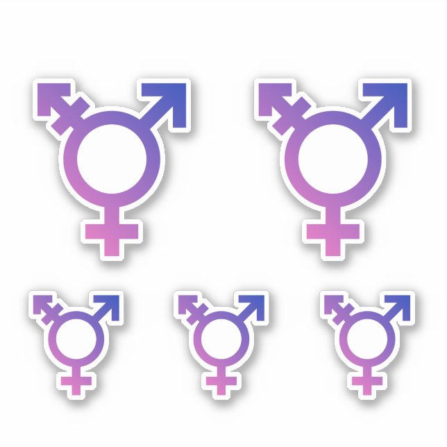 Adesivo Símbolo do Orgulho Trans (Frente)