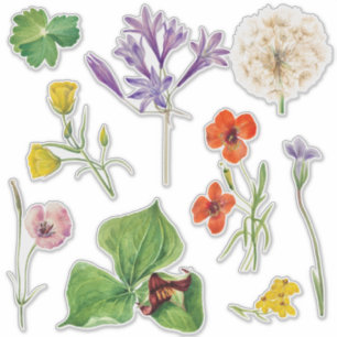 Adesivo Sinal de Boas-Vindas Colorido Flor Selvagem