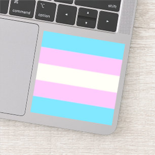 Adesivo Sinalizador de Desvio de Prioridade Trans