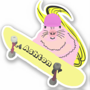 Adesivo Skate de nome personalizado nº 1001 do Esquilo tr