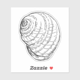 Adesivo Snail Shell