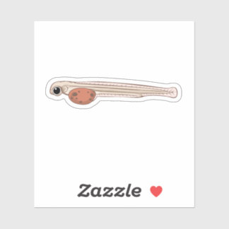 Adesivo Sockeye Salmon Alevin